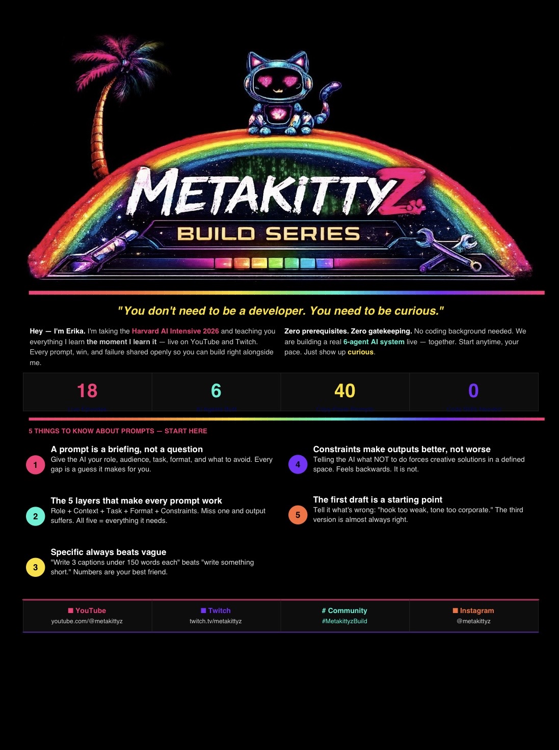 Metakittyz Quick Start Page 1